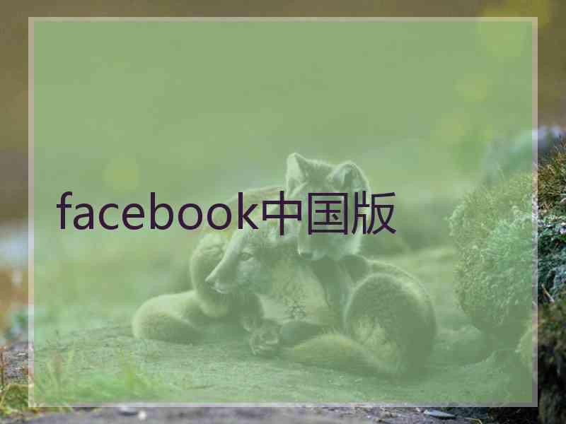 facebook中国版