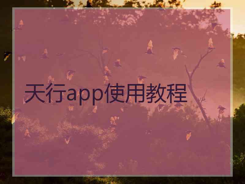 天行app使用教程