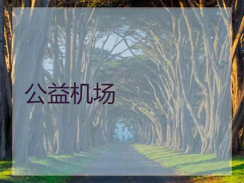 公益机场