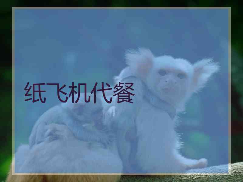 纸飞机代餐