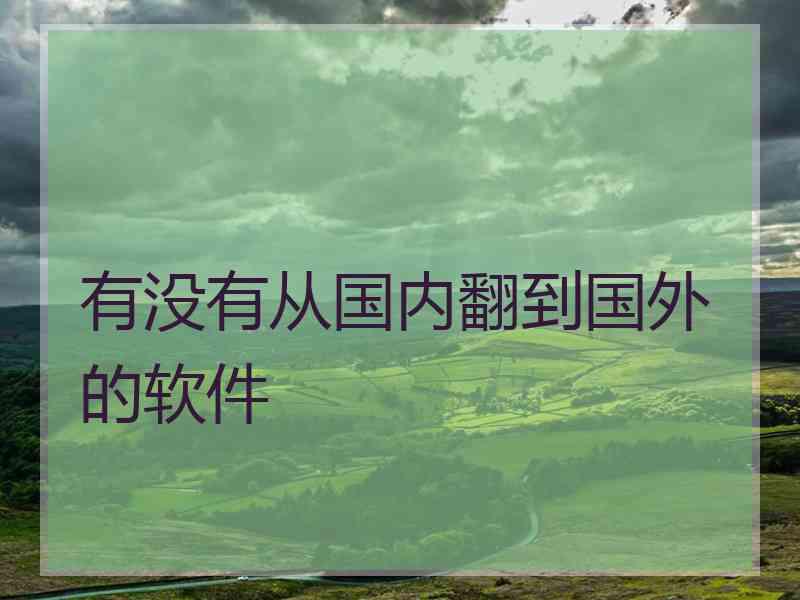 有没有从国内翻到国外的软件