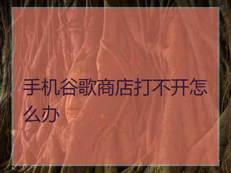 手机谷歌商店打不开怎么办