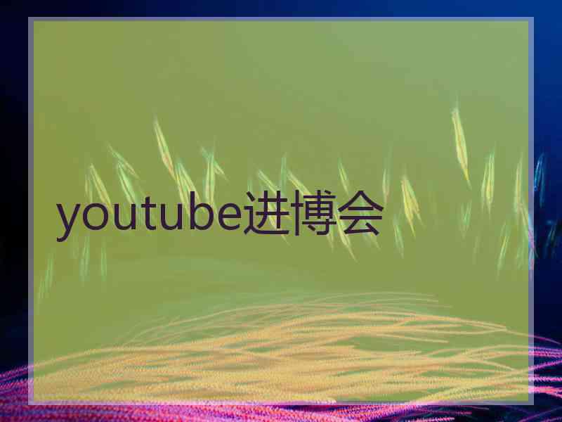 youtube进博会