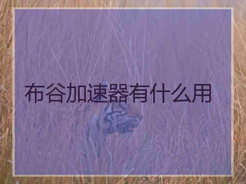 布谷加速器有什么用